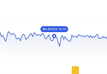 Real-Time Data Visualization